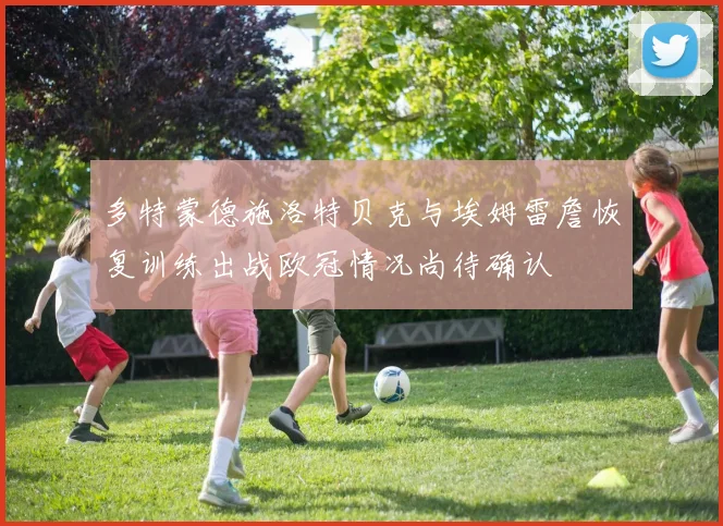 多特蒙德施洛特贝克与埃姆雷詹恢复训练出战欧冠情况尚待确认